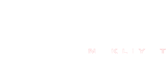 Sır Nakliyat White Logo